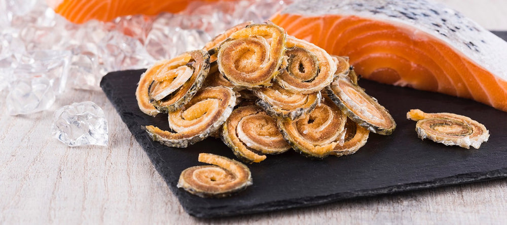 Norsh Natural Raw Freeze dried salmon skin twirls on a slate alongside a fillet of salmon and ice